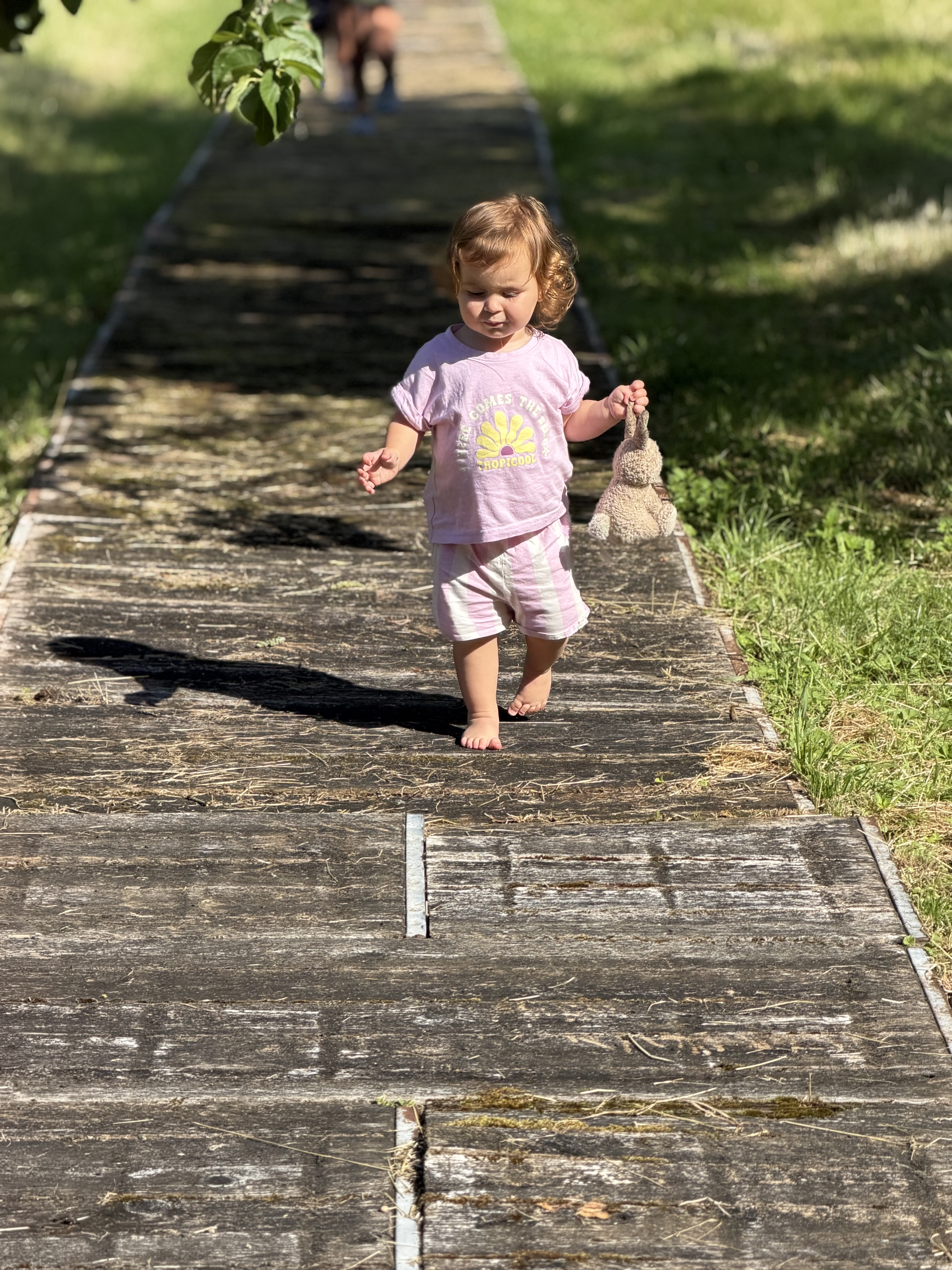 1782282341736-IMG_7057.jpeg